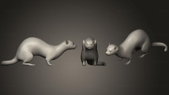 3D model Ferret (STL)